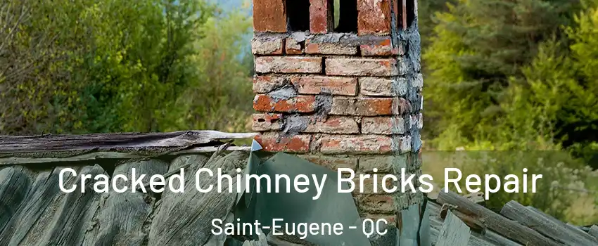  Cracked Chimney Bricks Repair Saint-Eugene - QC