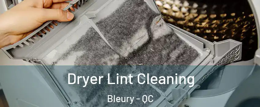  Dryer Lint Cleaning Bleury - QC