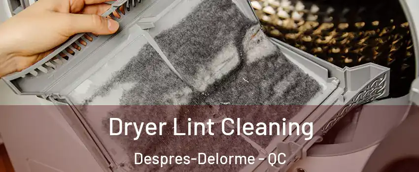  Dryer Lint Cleaning Despres-Delorme - QC