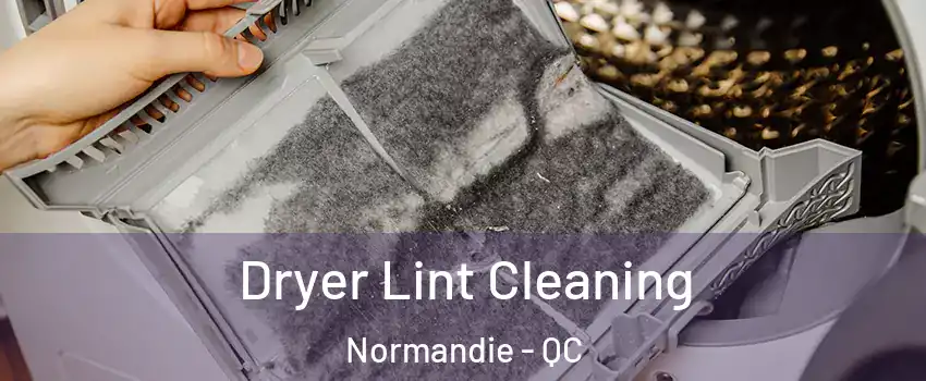  Dryer Lint Cleaning Normandie - QC