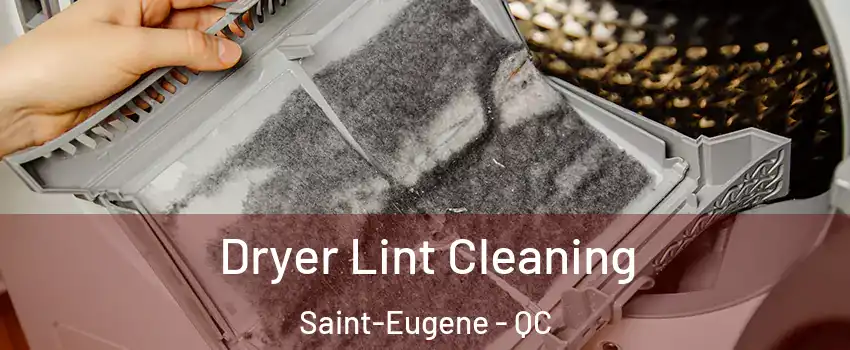  Dryer Lint Cleaning Saint-Eugene - QC
