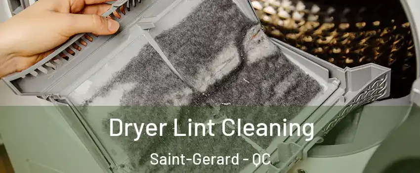  Dryer Lint Cleaning Saint-Gerard - QC