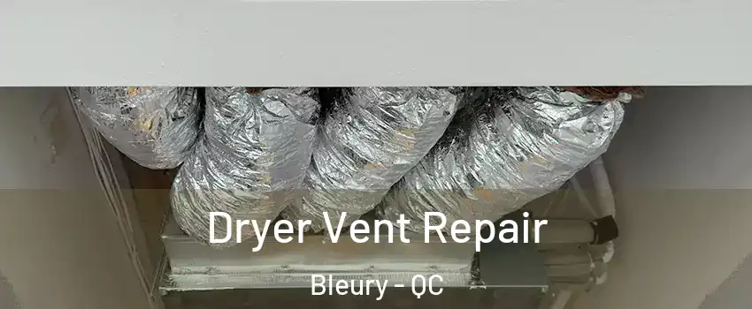  Dryer Vent Repair Bleury - QC