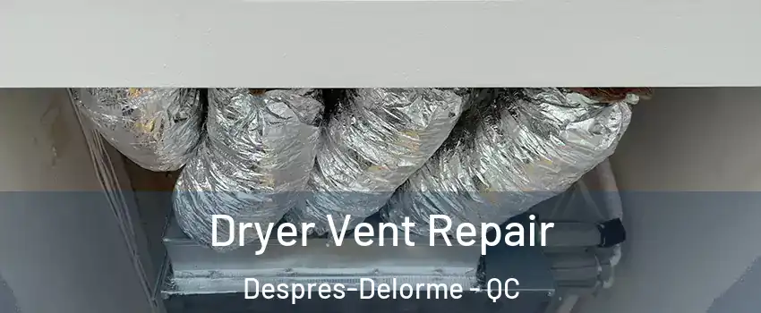  Dryer Vent Repair Despres-Delorme - QC