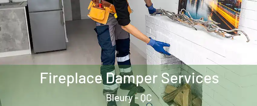  Fireplace Damper Services Bleury - QC