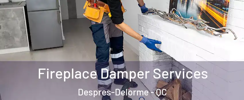  Fireplace Damper Services Despres-Delorme - QC