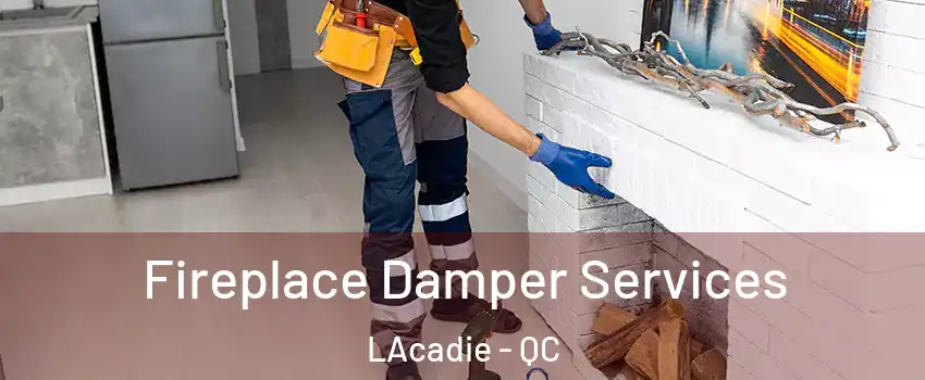  Fireplace Damper Services LAcadie - QC