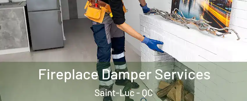  Fireplace Damper Services Saint-Luc - QC