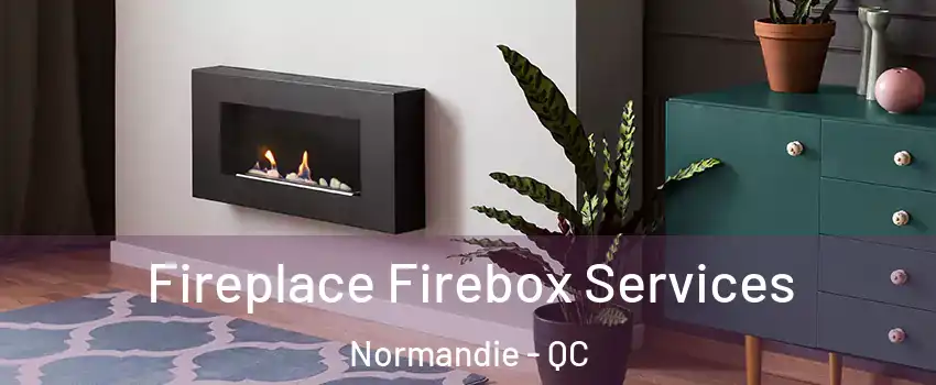  Fireplace Firebox Services Normandie - QC