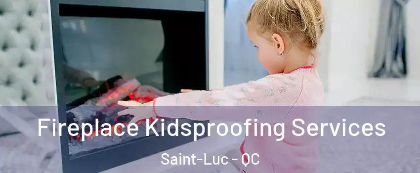  Fireplace Kidsproofing Services Saint-Luc - QC