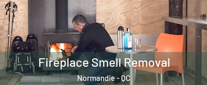  Fireplace Smell Removal Normandie - QC