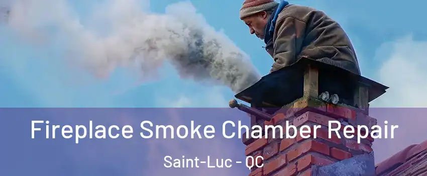  Fireplace Smoke Chamber Repair Saint-Luc - QC