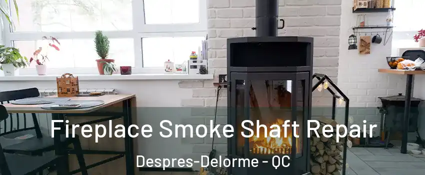  Fireplace Smoke Shaft Repair Despres-Delorme - QC