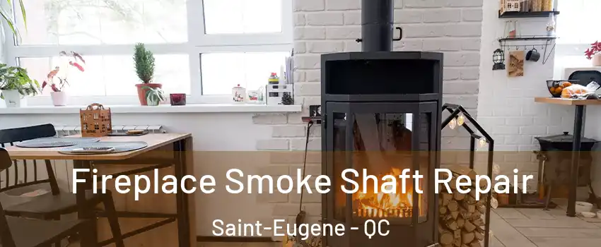  Fireplace Smoke Shaft Repair Saint-Eugene - QC