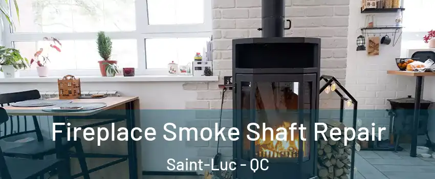  Fireplace Smoke Shaft Repair Saint-Luc - QC