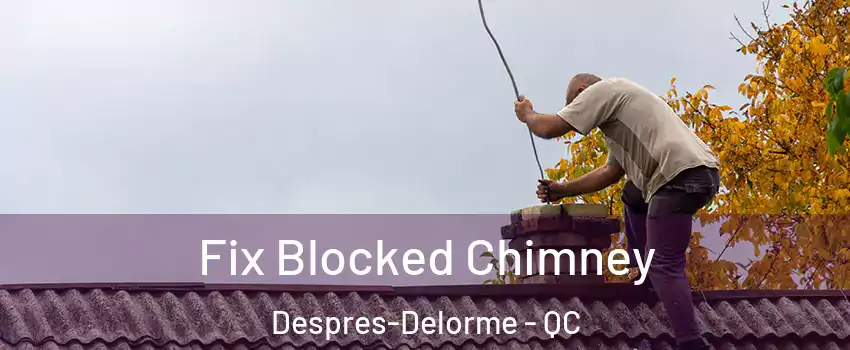  Fix Blocked Chimney Despres-Delorme - QC