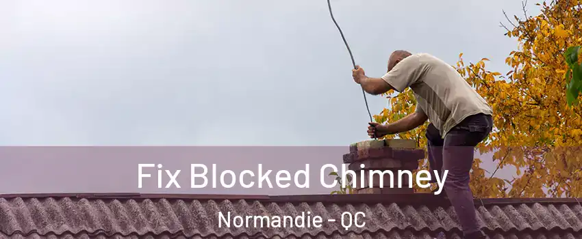  Fix Blocked Chimney Normandie - QC