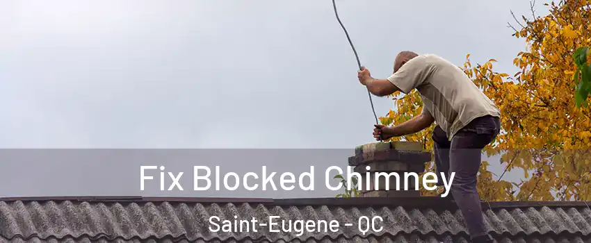  Fix Blocked Chimney Saint-Eugene - QC