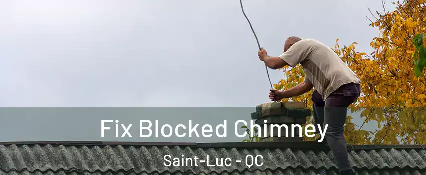  Fix Blocked Chimney Saint-Luc - QC
