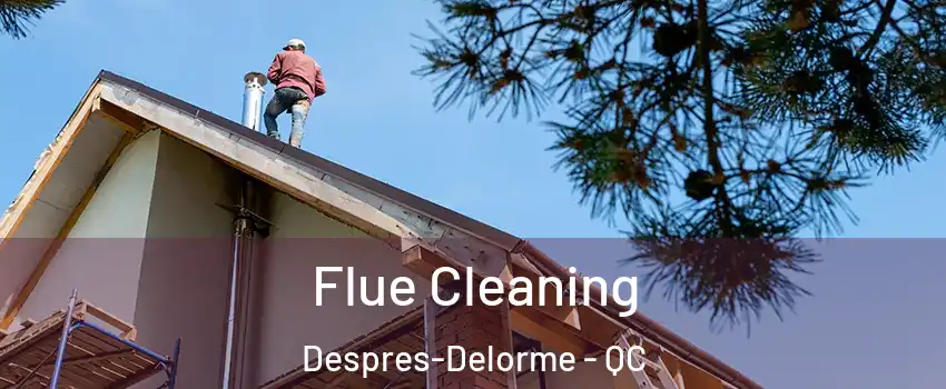  Flue Cleaning Despres-Delorme - QC