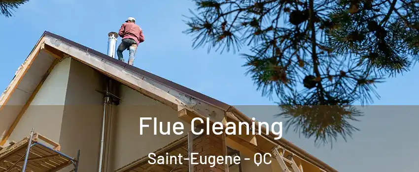  Flue Cleaning Saint-Eugene - QC