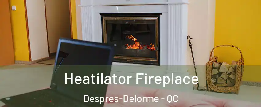  Heatilator Fireplace Despres-Delorme - QC