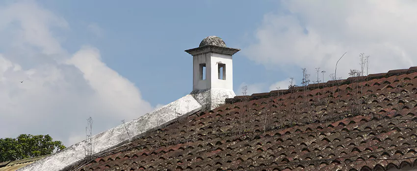Wind-Resistant Chimney Caps Installation and Repair Services in Normandie, Quebec