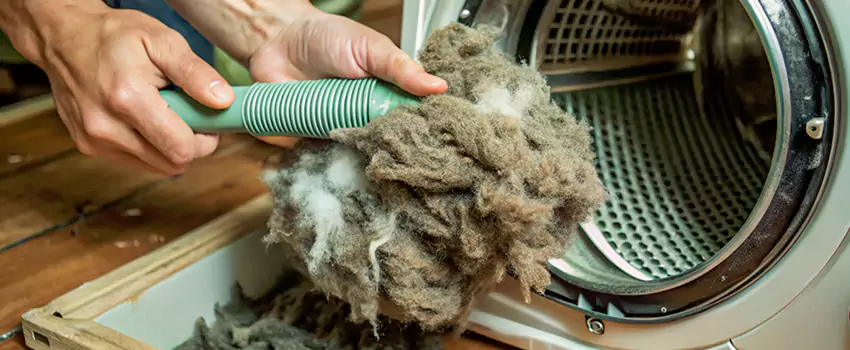 Best Dryer Lint Removal Company in Normandie, Quebec