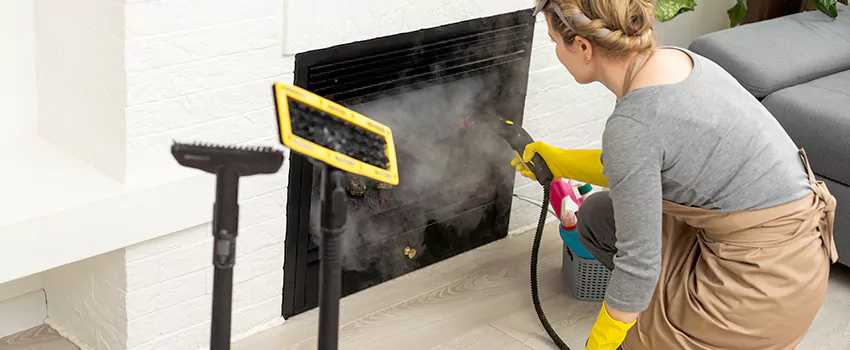 Fireplace Doors Cleaning in Normandie, Quebec