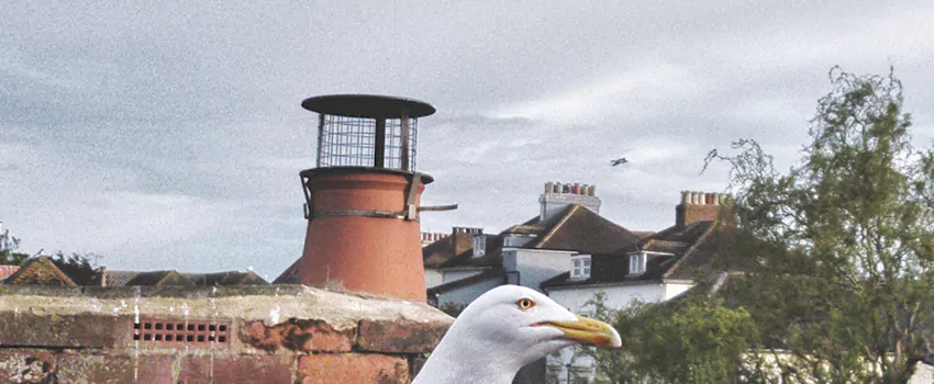 Chimney Cap Bird Guard Repair in Normandie, Quebec