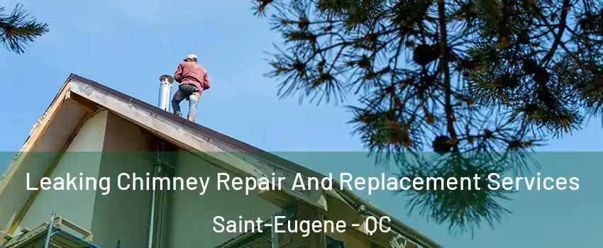  Leaking Chimney Repair And Replacement Services Saint-Eugene - QC