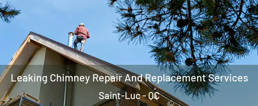 Leaking Chimney Repair And Replacement Services Saint-Luc - QC