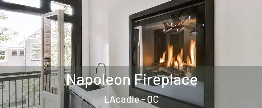  Napoleon Fireplace LAcadie - QC