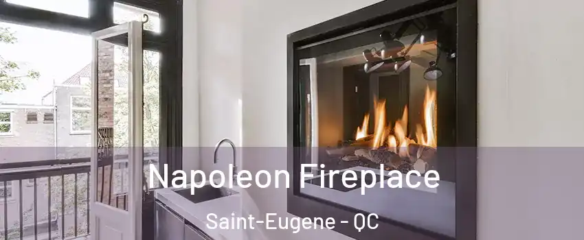  Napoleon Fireplace Saint-Eugene - QC