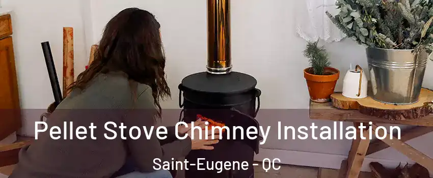  Pellet Stove Chimney Installation Saint-Eugene - QC