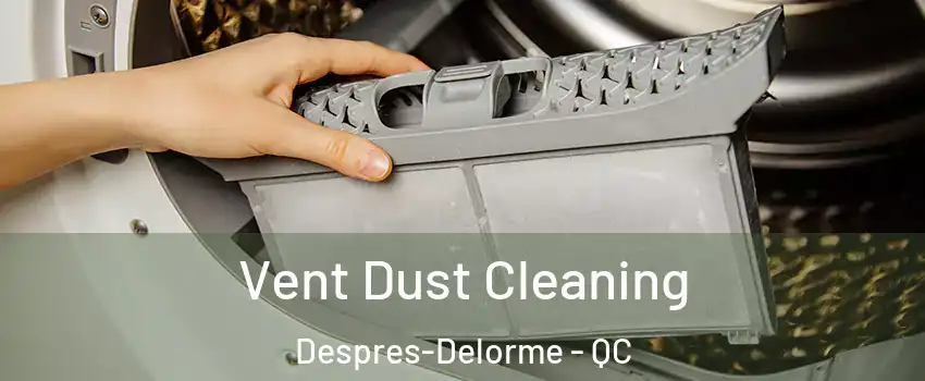  Vent Dust Cleaning Despres-Delorme - QC