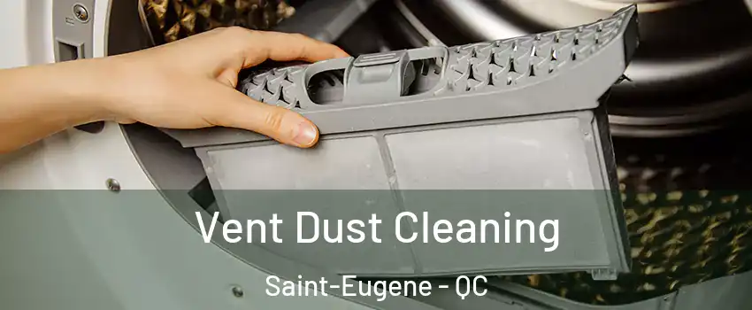  Vent Dust Cleaning Saint-Eugene - QC