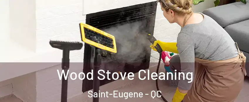  Wood Stove Cleaning Saint-Eugene - QC